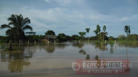 Graves inundaciones ocasiona el río Ariporo en por lo menos 5 veredas