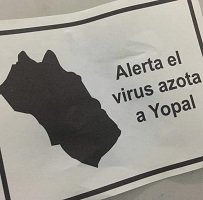 Campaña publicitaria genera confusión sobre inexistente virus en Yopal