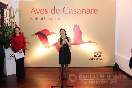 Aves de Casanare, el libro de Villegas Editores que captura la riqueza natural del departamento