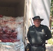Policía incautó 4 toneladas de carne de chigüiro 
