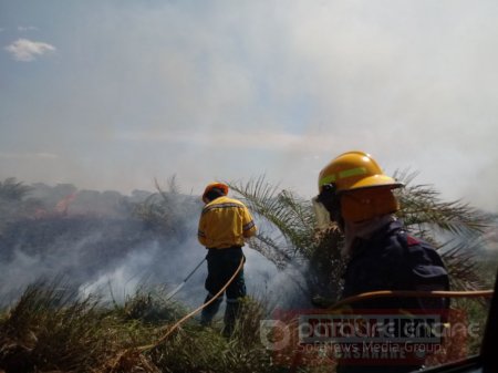 Voraz incendio arrasó con 25 hectáreas de cultivo de palma africana en Aguazul