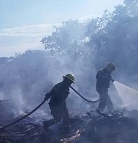 80 incendios forestales se registraron en enero en Yopal 