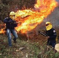 13 municipios de Casanare en alerta roja por amenaza de incendios forestales