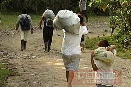 Más de mil reclamaciones de campesinos de Casanare por despojo de sus tierras