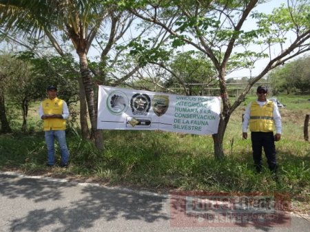 Unidos por la conservación de la fauna silvestre de Casanare