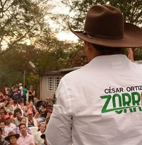Consejo Nacional Electoral solicitó al Consejo de Estado acumular en un solo proceso demandas contra curul de Cesar Ortiz Zorro