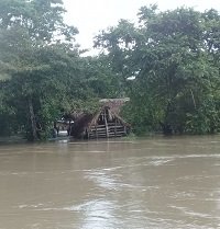 Ideam reportó el mayor volumen de precipitaciones a nivel nacional en Orocué
