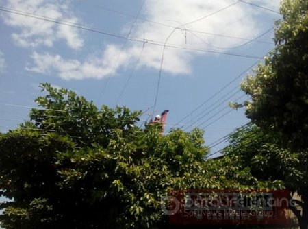 Suspensión de energía eléctrica este viernes en Trinidad y San Luís de Palenque