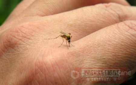 Incrementaron en un 200% casos de dengue en Casanare