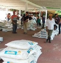 Insumos para bancos de proteínas a ganaderos de Yopal entregó Alcaldía 