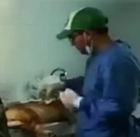 Se habilitó sala de cirugía para esterilización de perros y gatos en Yopal