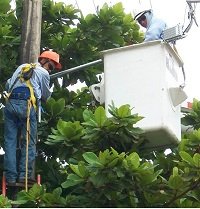 Suspensión de energía eléctrica por mantenimiento de redes este jueves en sector rural y urbano de Yopal