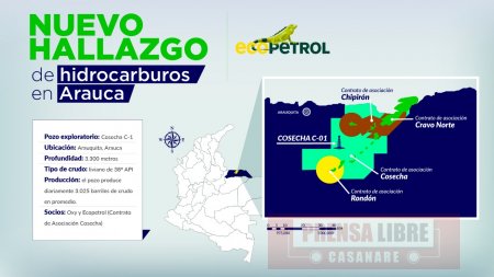 Ecopetrol descubrió petróleo liviano de alta calidad en pozo en Arauca 