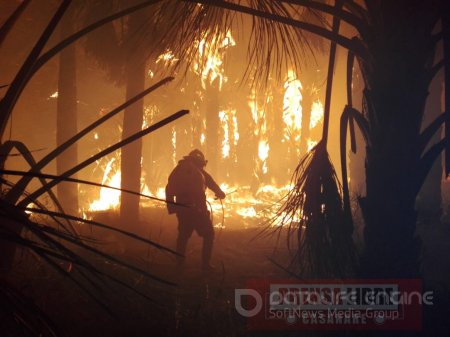 Incendio Forestal habría afectado más de 6 mil hectáreas en Orocué