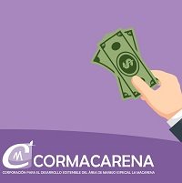 Para recuperar la confianza listo plan anticorrupción de Cormacarena 