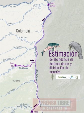Nueva expedición en el río Orinoco para determinar estado de conservación del Delfín Rosado y el Manatí