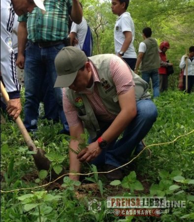 Gobernación de Casanare conmemoró día nacional del árbol con siembra de especies nativas