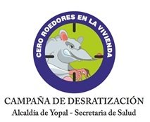 Alcaldía de Yopal inicia hoy campaña de desratización 