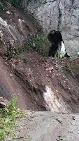 Derrumbe hizo colapsar puente en la vía Yopal - Labranzagrande