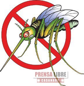 1253 casos de dengue se han presentado este año en Casanare 