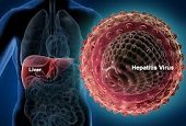 Casos de Hepatitis B disminuyeron en Yopal según Secretaría de Salud Municipal