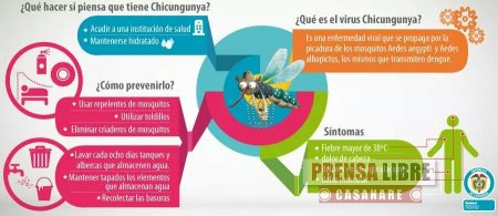 Autoridades sanitarias dan a conocer medidas preventivas contra virus fiebre de Chikunguya 