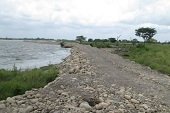 Obras de protección en el río Casanare a la altura de Hato Corozal