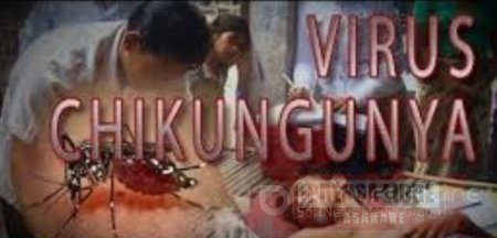 Primer caso sospechoso del virus del Chikungunya en Yopal