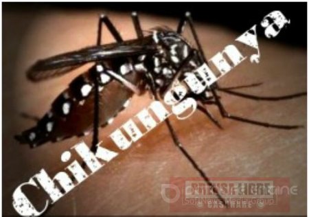 7 casos sospechosos del virus Chikungunya en Casanare