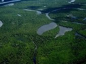 En el Vichada consultoría del río Bita presentó avances para protección de la fuente hídrica
