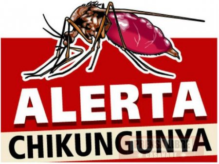 Instituto Nacional de Salud confirmó primer caso autóctono de Chikungunya en Yopal