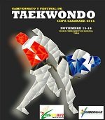 Festival Departamental de Taekwondo &#8220;Copa Casanare 2014&#8221; este fin de semana en Yopal