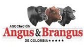 Día de campo sobre la raza Brangus realiza Comité regional de ganaderos de Yopal