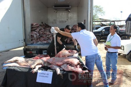 Autoridades incautaron 2.394 kilogramos de carne de chigüiro