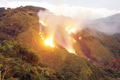 IDEAM declaró alerta naranja por incendios forestales para el departamento de Casanare