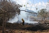 23 incendios forestales y estructurales han atendido los Bomberos en Yopal durante lo corrido de 2015 