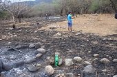 Inició recuperación de árboles afectados por incendio del Parque La Iguana en Yopal