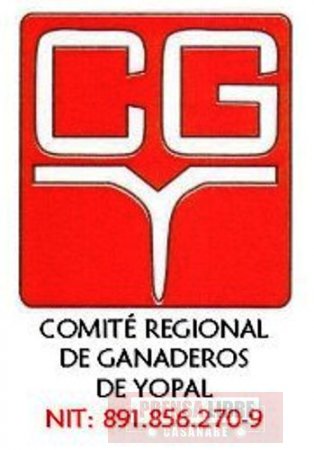41 años cumple Comité Regional de Ganaderos de Yopal