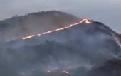 Incendio forestal en zona rural de Yopal