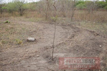 Acusan a practicantes de motocross de dañar árboles del Parque La Iguana de Yopal
