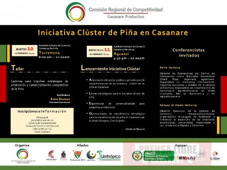 La próxima semana se lanza Clúster de Piña en Casanare