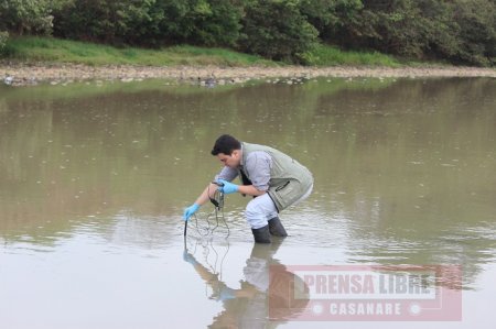 Investigan si Planta de Tratamiento de Aguas Residuales de Yopal es la causante de mortandad de peces en Morichal