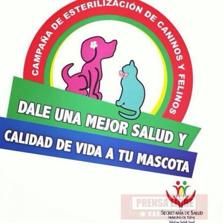 Jornada de esterilización de perros y gatos en Yopal