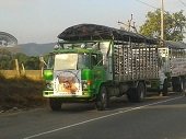 Camioneros en paro afectan movilidad hacia Casanare