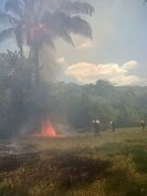 17 incendios forestales han arrasado 800 hectáreas de vegetación en Nunchía