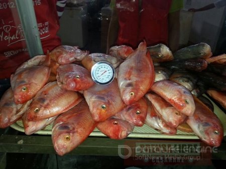 En Yopal incautaron 50 kilos de pescado 