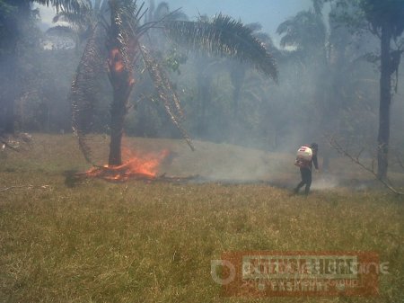 17 incendios forestales han arrasado 800 hectáreas de vegetación en Nunchía