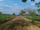 Mantenimiento a vía de acceso a la vereda Gaviotas Agua Verde de Yopal
