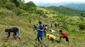 Yopal celebró el día del árbol sembrando 8 mil en el cerro El Venado