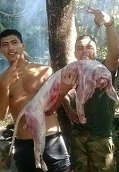 Autoridad ambiental reprochó episodio en que militares mataron a dos tigrillos en el Vichada